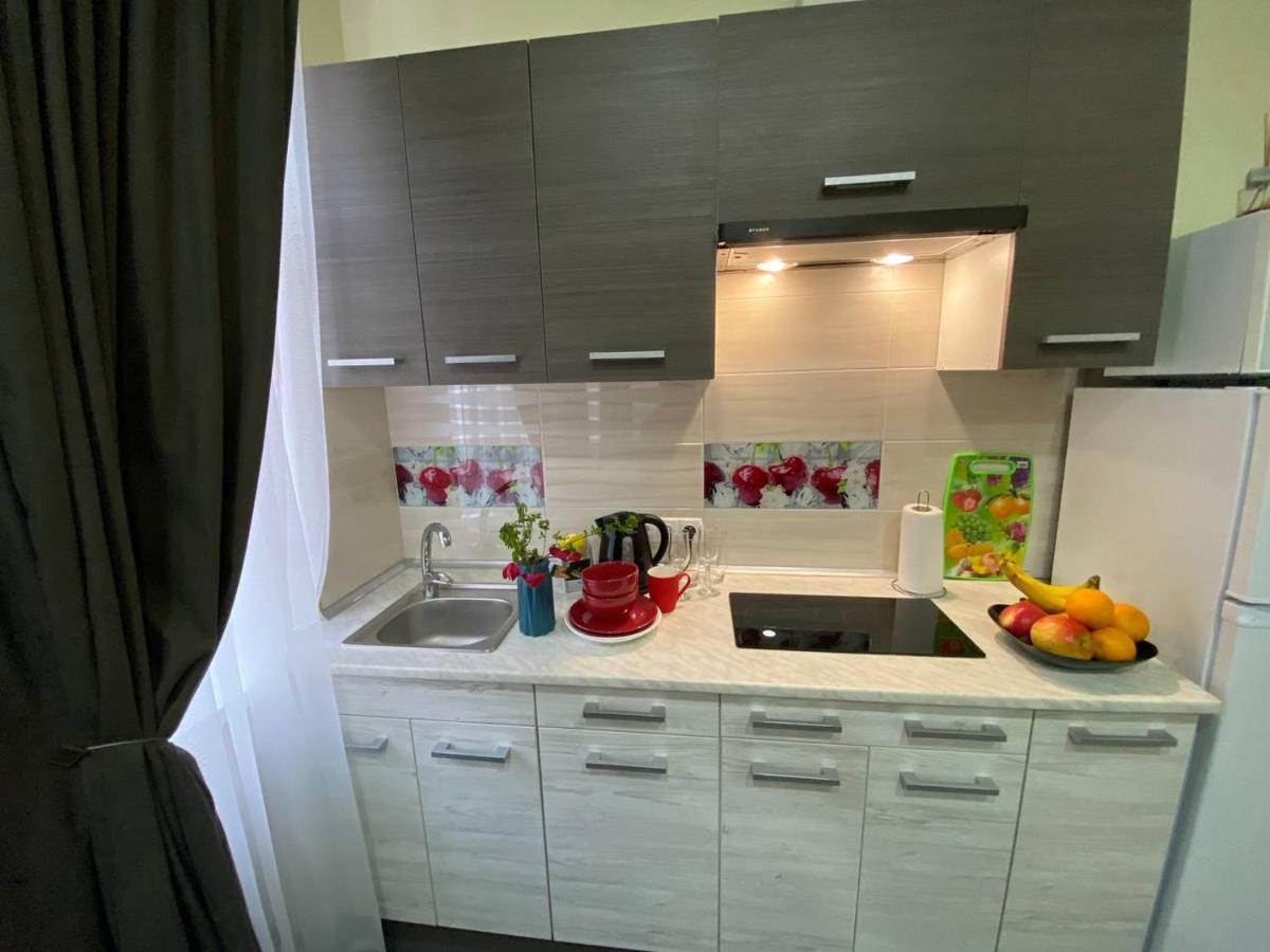 Luxury Room_karavaeva Apartment *